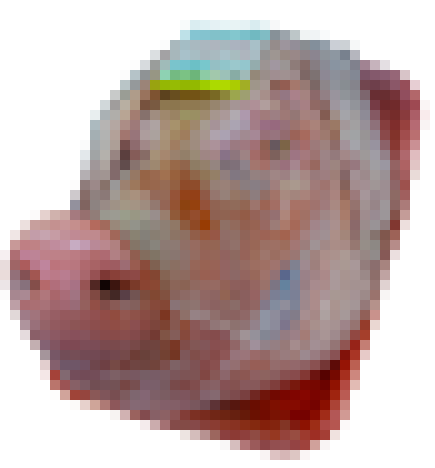 highly pixellated image of a pigs head in plastic packaging