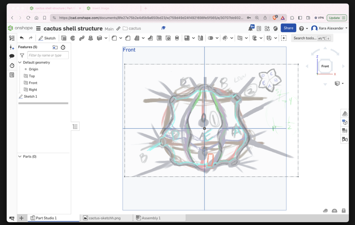 cactus progress shot within onshape